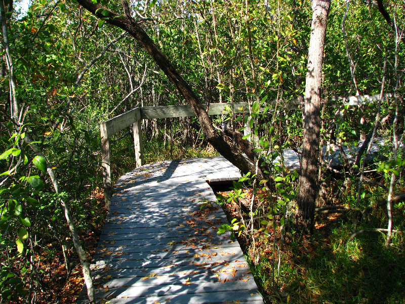 Florida-Keys-Wild-Bird-Center-Tavernier-FL-050