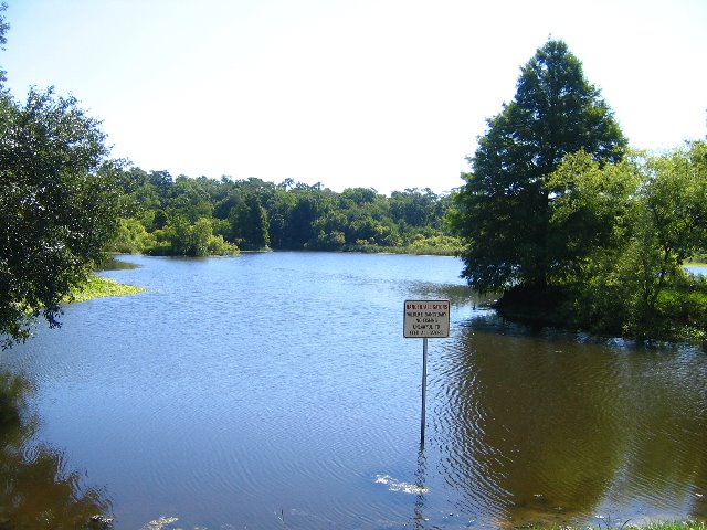 Lake-Alice-Gainesville-2006-01