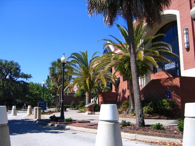 University-of-Florida-Gainesville-28