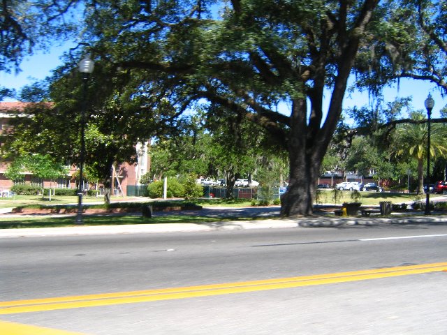 University-of-Florida-Gainesville-41