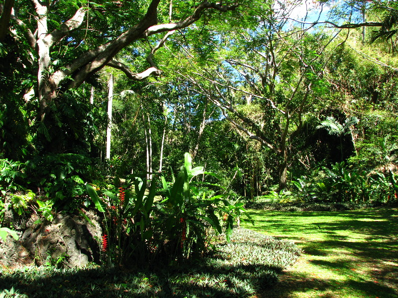 Garden-of-the-Sleeping-Giant-Nadi-Viti-Levu-Fiji-038