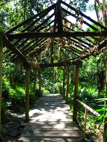 Garden-of-the-Sleeping-Giant-Nadi-Viti-Levu-Fiji-063