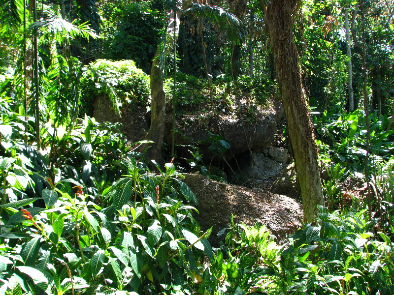 Garden-of-the-Sleeping-Giant-Nadi-Viti-Levu-Fiji-064