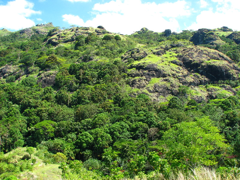 Garden-of-the-Sleeping-Giant-Nadi-Viti-Levu-Fiji-085