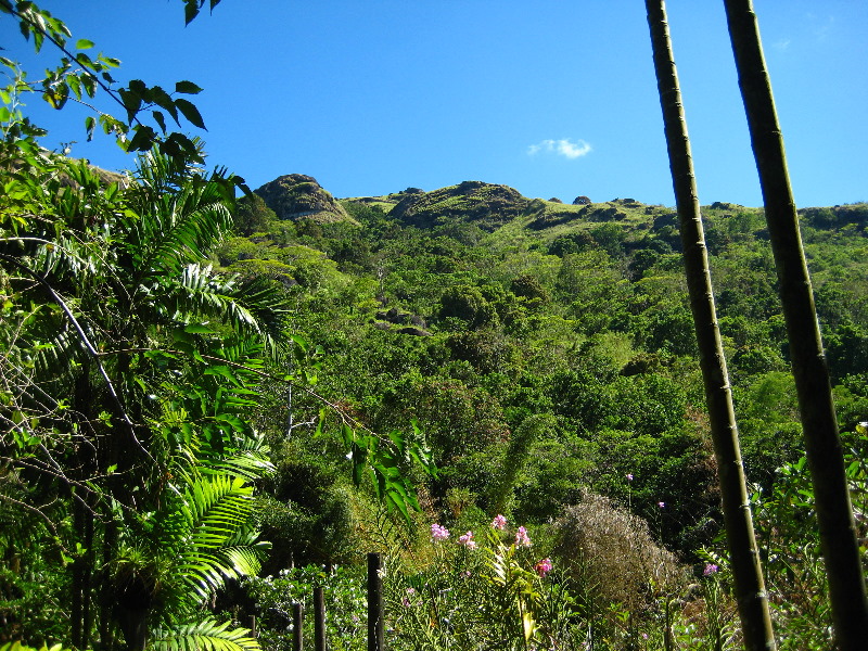 Garden-of-the-Sleeping-Giant-Nadi-Viti-Levu-Fiji-113