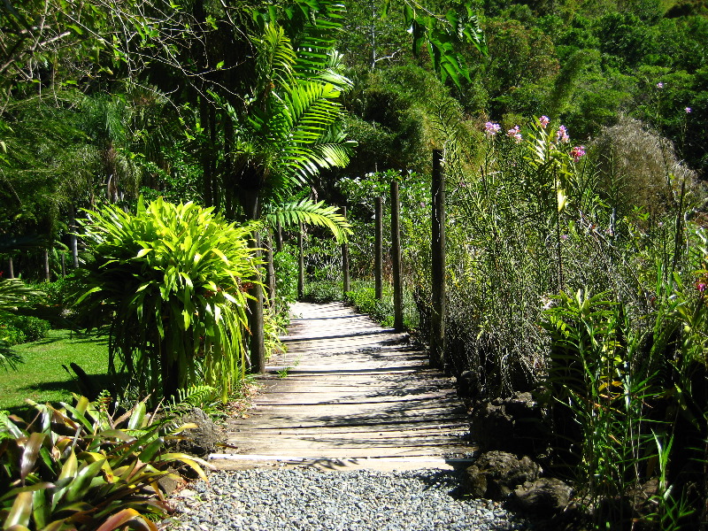 Garden-of-the-Sleeping-Giant-Nadi-Viti-Levu-Fiji-114