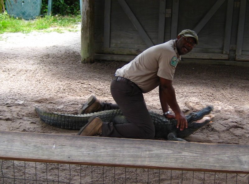 Gator-Park-Airboat-Ride-032