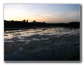 Green-Cay-Wetlands-Boynton-Beach-FL-091