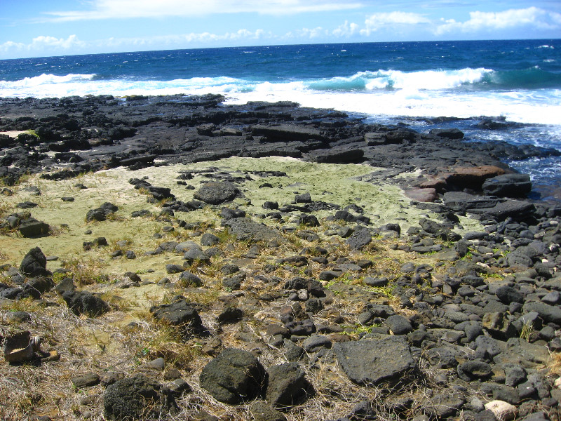 Green-Sand-Beach-South-Point-Big-Island-Hawaii-080