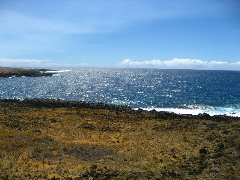 Green-Sand-Beach-South-Point-Big-Island-Hawaii-097