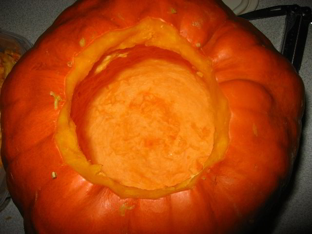 Halloween-Pumpkin-Carving-06-013