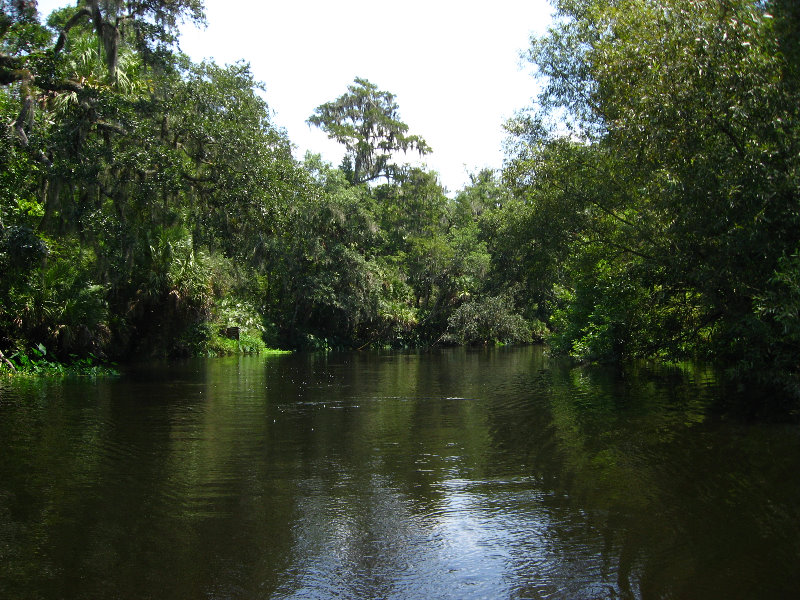 Hillsborough-River-State-Park-Thonotosassa-FL-028