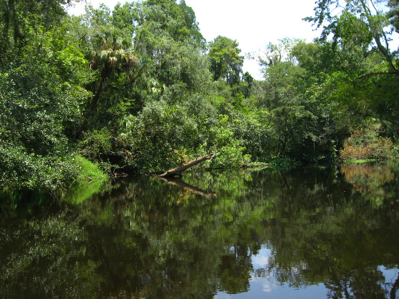 Hillsborough-River-State-Park-Thonotosassa-FL-033