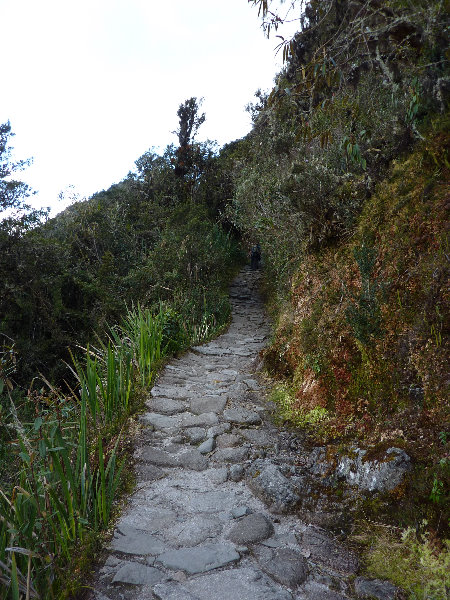 Inca-Hiking-Trail-To-Machu-Picchu-Peru-273
