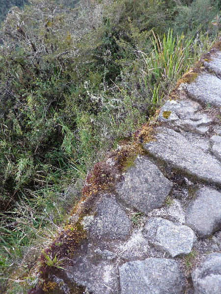 Inca-Hiking-Trail-To-Machu-Picchu-Peru-278