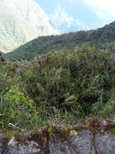 Inca-Hiking-Trail-To-Machu-Picchu-Peru-279