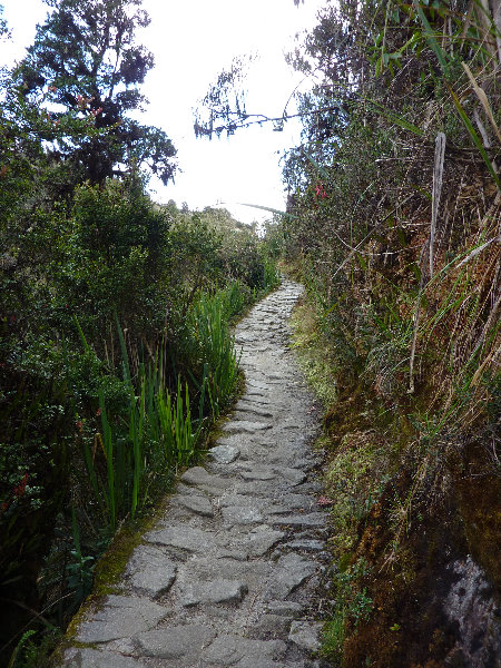 Inca-Hiking-Trail-To-Machu-Picchu-Peru-282