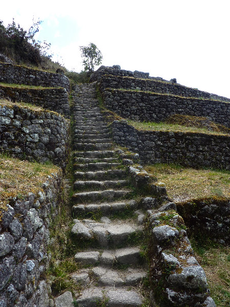 Inca-Hiking-Trail-To-Machu-Picchu-Peru-305