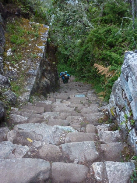 Inca-Hiking-Trail-To-Machu-Picchu-Peru-314