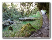 Inca-Hiking-Trail-To-Machu-Picchu-Peru-235