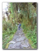 Inca-Hiking-Trail-To-Machu-Picchu-Peru-245