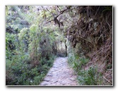 Inca-Hiking-Trail-To-Machu-Picchu-Peru-264