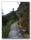 Inca-Hiking-Trail-To-Machu-Picchu-Peru-273