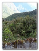 Inca-Hiking-Trail-To-Machu-Picchu-Peru-279