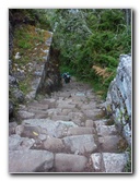 Inca-Hiking-Trail-To-Machu-Picchu-Peru-314