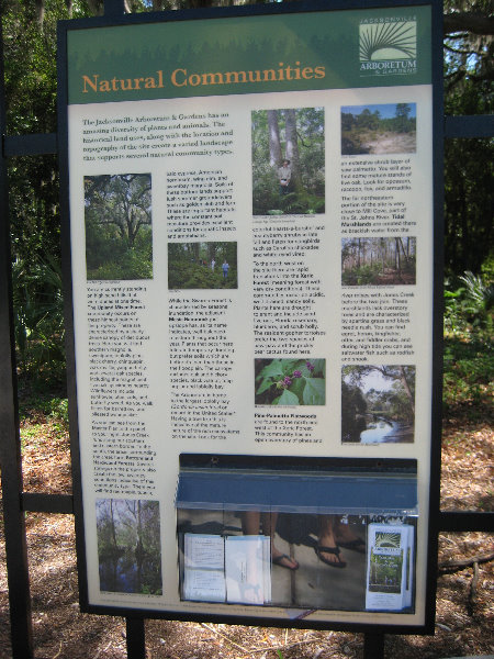 Jacksonville-Arboretum-and-Gardens-Jacksonville-FL-004