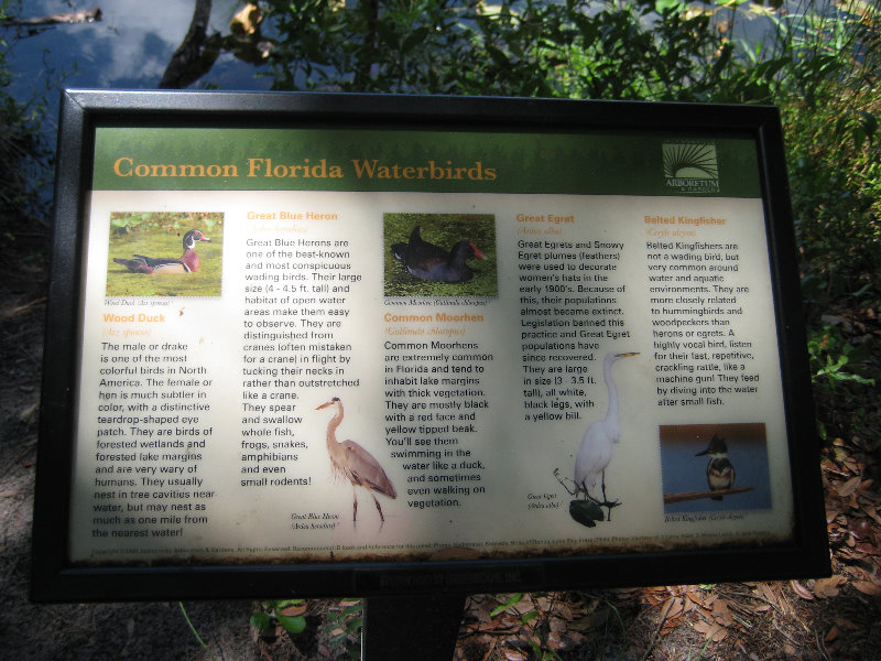 Jacksonville-Arboretum-and-Gardens-Jacksonville-FL-027