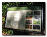 Jacksonville-Arboretum-and-Gardens-Jacksonville-FL-042