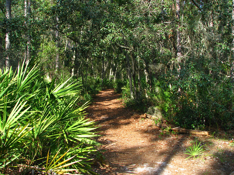 Jay-B-Starkey-Wilderness-Park-Pasco-County-FL-057
