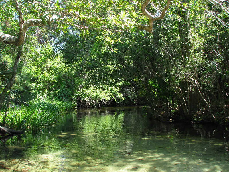 Juniper-Springs-Canoe-Run-Ocala-National-Forest-FL-013