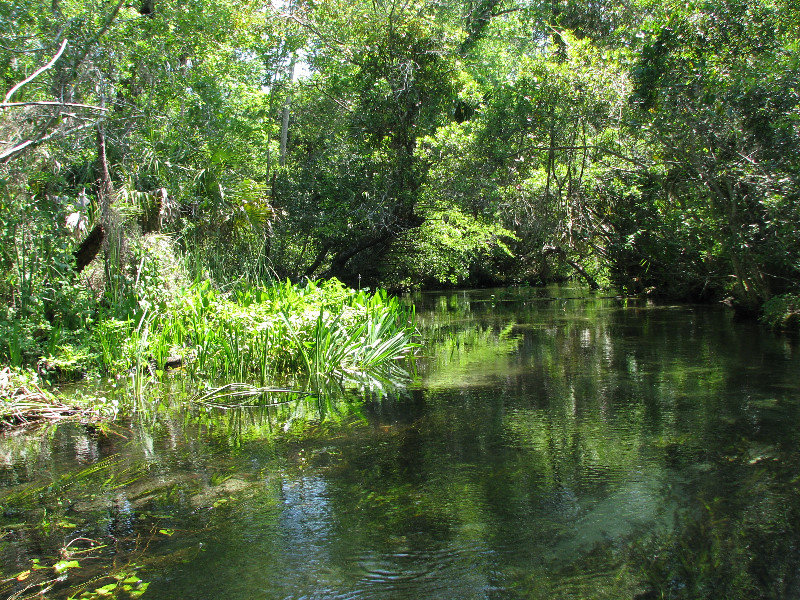 Juniper-Springs-Canoe-Run-Ocala-National-Forest-FL-021