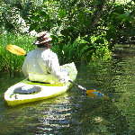 Juniper Springs Canoe Run - Ocala National Forest