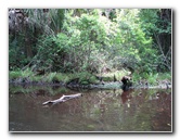 Juniper-Springs-Canoe-Run-Ocala-National-Forest-FL-042