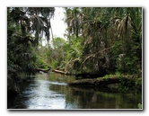 Juniper-Springs-Canoe-Run-Ocala-National-Forest-FL-085