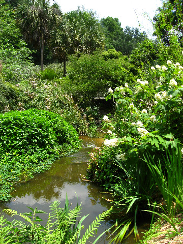 Kanapaha-Botanical-Gardens-058