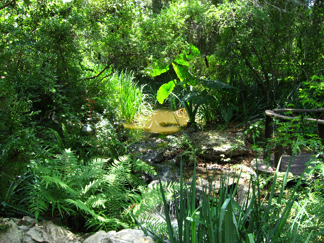 Kanapaha-Botanical-Gardens-068