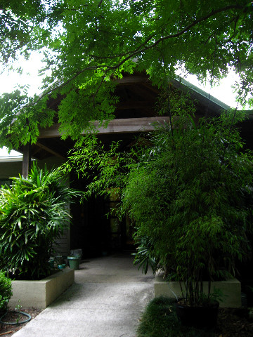 Kanapaha-Botanical-Gardens-184