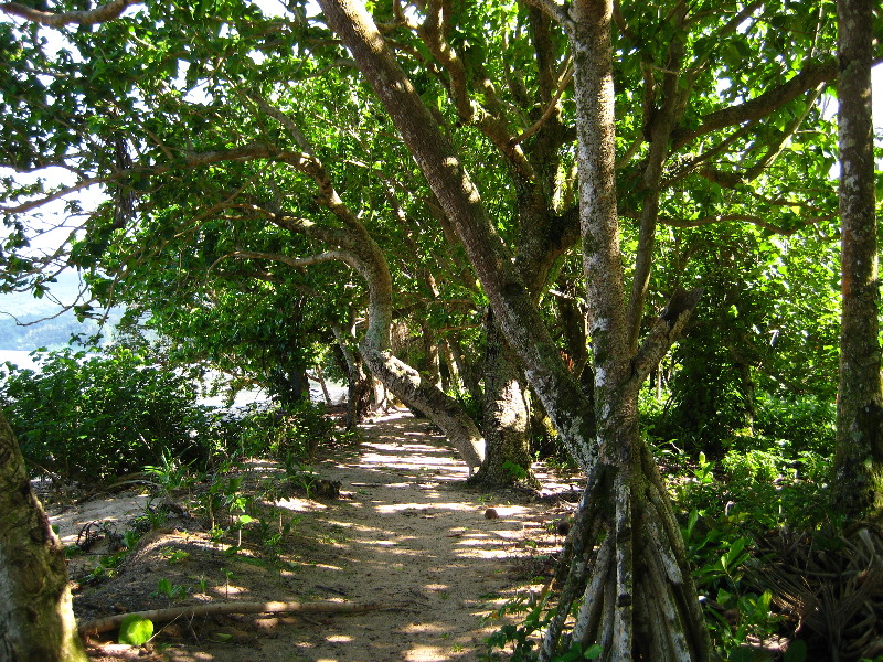 Lavena-Coastal-Walk-Bouma-National-Park-Taveuni-Fiji-017