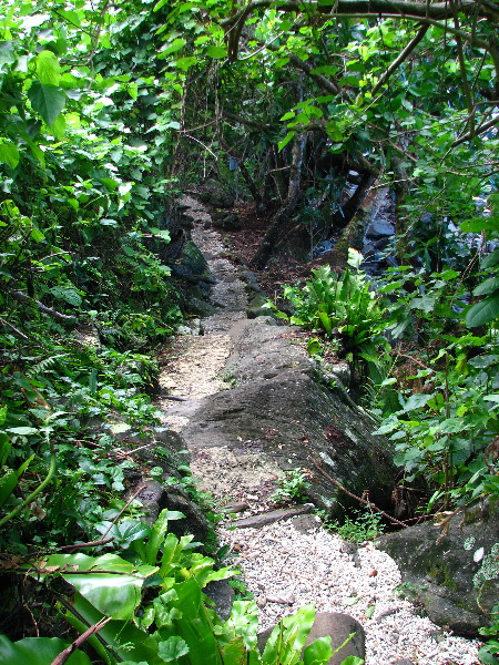Lavena-Coastal-Walk-Bouma-National-Park-Taveuni-Fiji-039