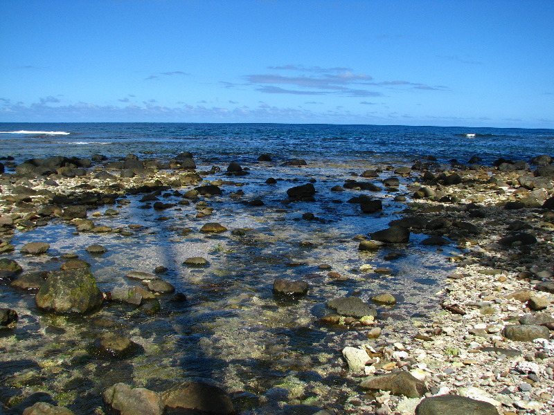 Lavena-Coastal-Walk-Bouma-National-Park-Taveuni-Fiji-136