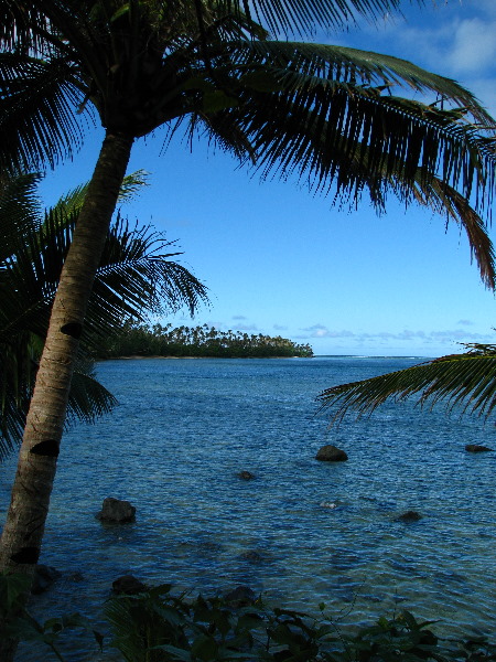 Lavena-Coastal-Walk-Bouma-National-Park-Taveuni-Fiji-142