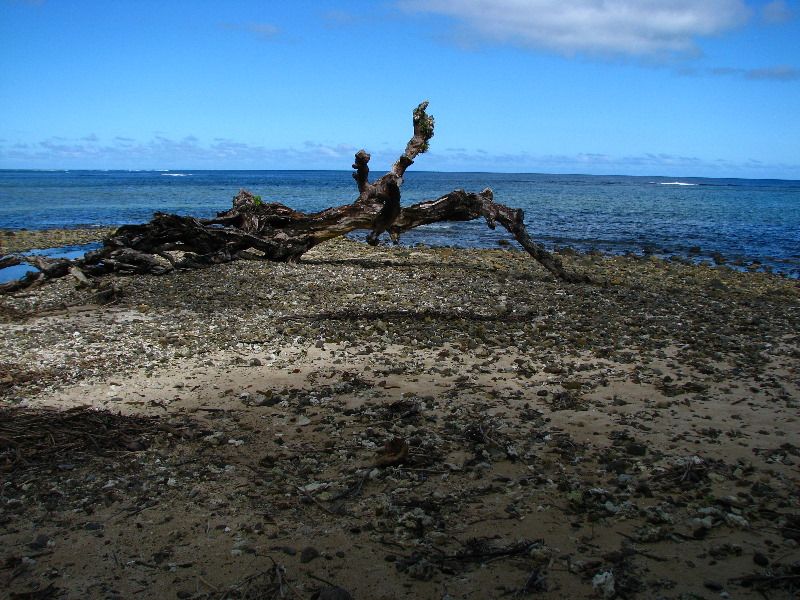 Lavena-Coastal-Walk-Bouma-National-Park-Taveuni-Fiji-143