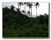 Lavena-Coastal-Walk-Bouma-National-Park-Taveuni-Fiji-086
