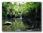 Lavena-Coastal-Walk-Bouma-National-Park-Taveuni-Fiji-098