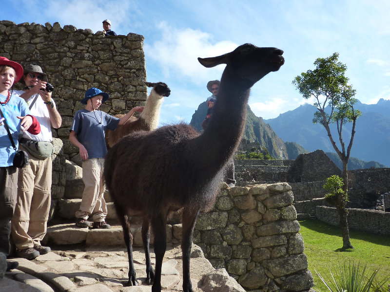 Machu-Picchu-Inca-Trail-Peru-South-America-038