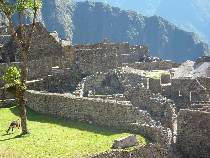 Machu-Picchu-Inca-Trail-Peru-South-America-062